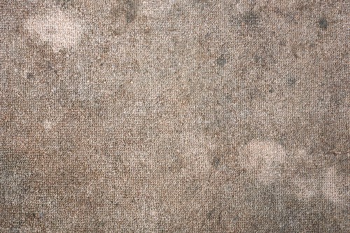 Why You Should Clean Office Carpet Frequently