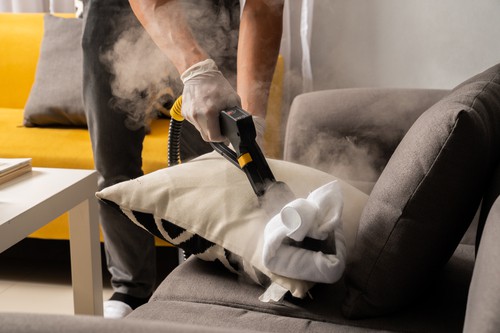How Often Should You Hire a Professional Cleaner for Your Sofa?