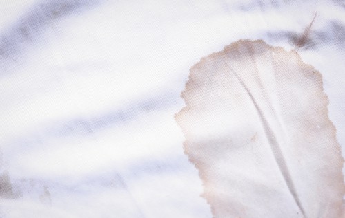 How To Remove Gravy Stains From Clothes? 