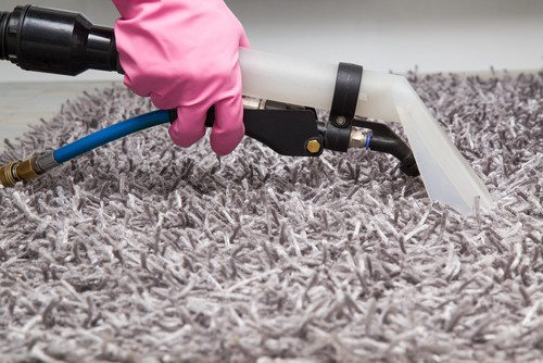 How Often To Clean Carpets? 